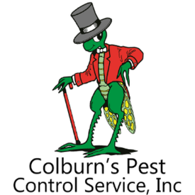 The Benefits of Professional Pest Control Services in Enfield