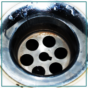 Say Goodbye to Blocked Drains in Bromley: Tips and Tricks for Prevention and Unclogging